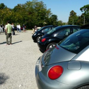 24' raduno gnubittol Appennini di Bologna