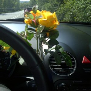 Raduno d'Autunno 2012