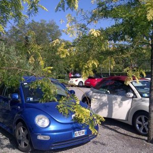 Raduno d'Autunno 2012