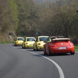 Raduno negli Appennini Bolognesi 2012