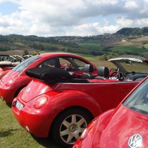 Raduno negli Appennini Bolognesi 2012