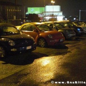 2010-01 Incontri Nordest A Latisana