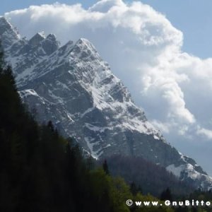 2009-05 Incontri NordEst