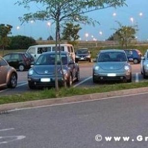 2006-05 Incontri NordEst