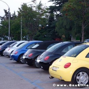 30-07-2005 - Stelle sotto le Stelle