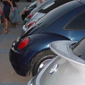 30-07-2005 - Stelle sotto le Stelle