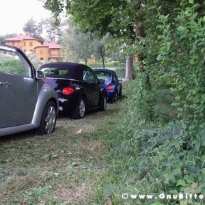 30-07-2005 - Stelle sotto le Stelle