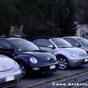 30-07-2005 - Stelle sotto le Stelle