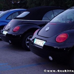 30-07-2005 - Stelle sotto le Stelle