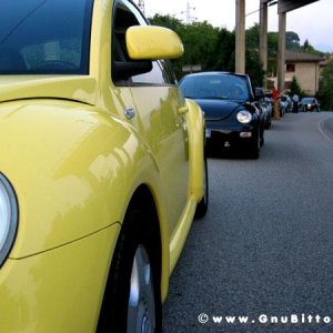 30-07-2005 - Stelle sotto le Stelle