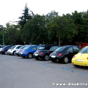 30-07-2005 - Stelle sotto le Stelle