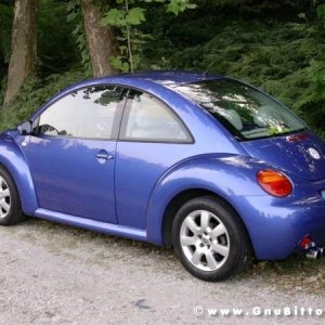 30-07-2005 - Stelle sotto le Stelle