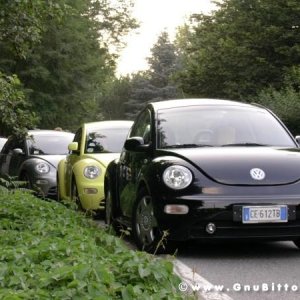 30-07-2005 - Stelle sotto le Stelle