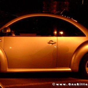 30-07-2005 - Stelle sotto le Stelle