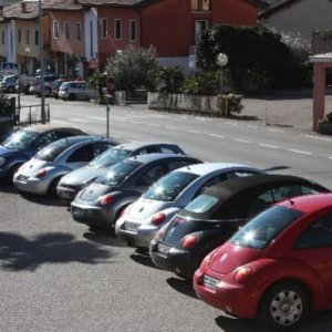 Assemblea Ordinaria Soci Cavaion Veronese, gennaio 2013