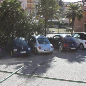 Assemblea Ordinaria Soci Cavaion Veronese, gennaio 2013