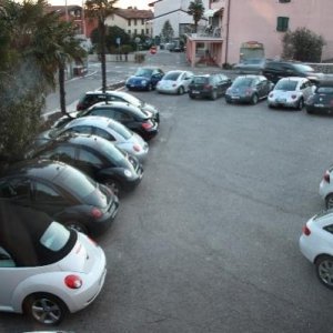 Assemblea Ordinaria Soci Cavaion Veronese, gennaio 2013