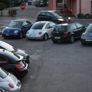 Assemblea Ordinaria Soci Cavaion Veronese, gennaio 2013