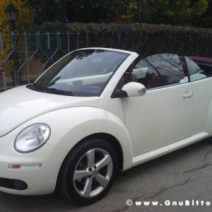 Mozzarellina 2008 - 20**