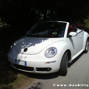 Mozzarellina 2008 - 20**