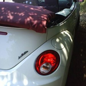 Mozzarellina 2008 - 20**