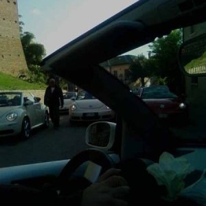 Mozzarellina 2008 - 20**