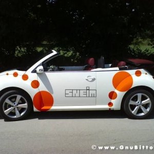 Mozzarellina 2008 - 20**