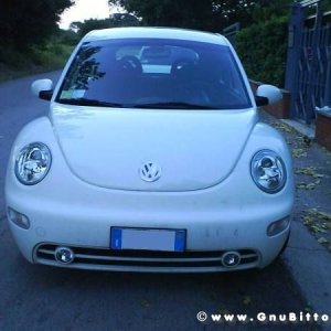 Mozzarellina 2008 - 20**