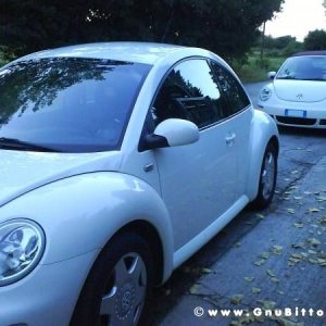 Mozzarellina 2008 - 20**