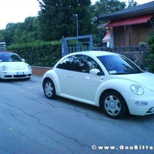 Mozzarellina 2008 - 20**