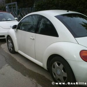 Mozzarellina 2008 - 20**