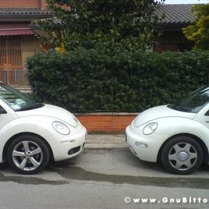 Mozzarellina 2008 - 20**