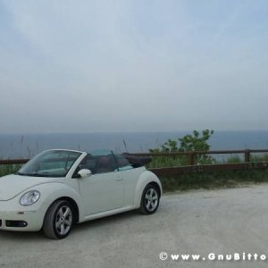 Mozzarellina 2008 - 20**