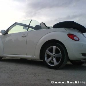 Mozzarellina 2008 - 20**