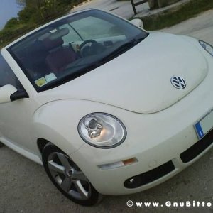 Mozzarellina 2008 - 20**