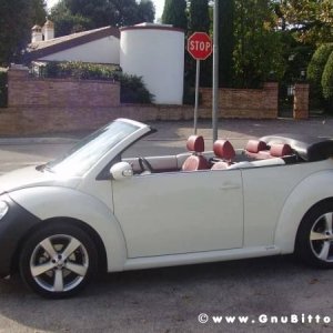 Mozzarellina 2008 - 20**