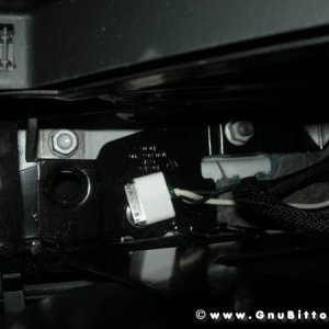 Mozzarellina 2008 - 20**