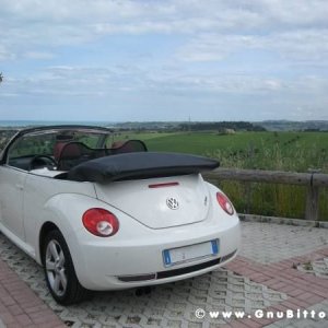 Mozzarellina 2008 - 20**