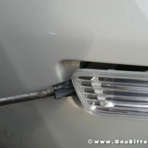 Mozzarellina 2008 - 20**