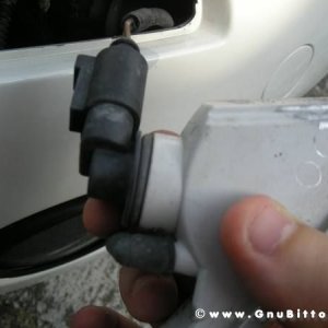 Mozzarellina 2008 - 20**