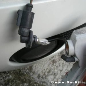 Mozzarellina 2008 - 20**