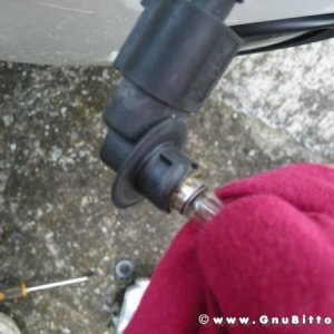 Mozzarellina 2008 - 20**