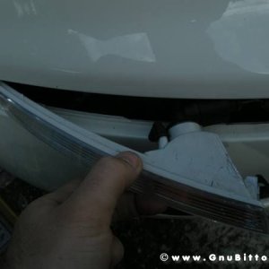 Mozzarellina 2008 - 20**