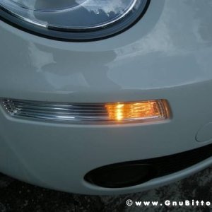 Mozzarellina 2008 - 20**