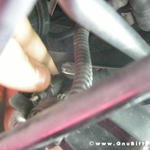 Mozzarellina 2008 - 20**