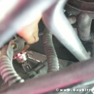 Mozzarellina 2008 - 20**