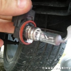 Mozzarellina 2008 - 20**