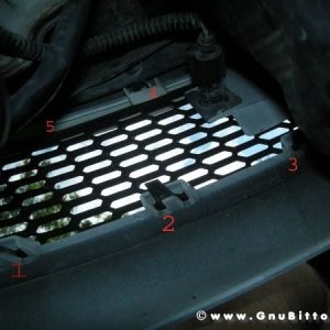 Mozzarellina 2008 - 20**