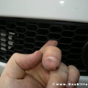 Mozzarellina 2008 - 20**