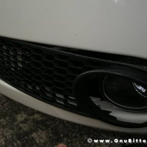 Mozzarellina 2008 - 20**